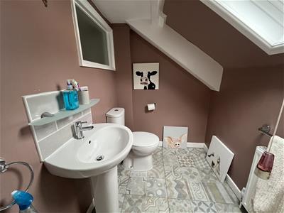 Picture 8